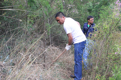 我为党旗增光辉——公司机关党支部组织开展锄草促长活动
