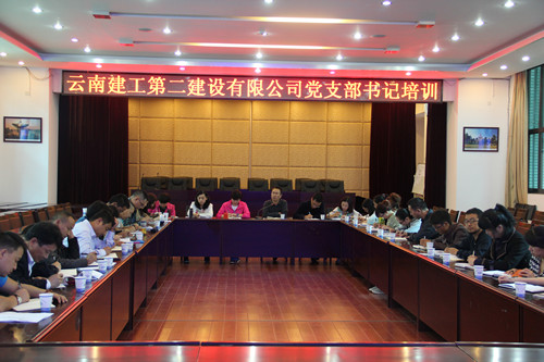 公司召开上半年党支部考核暨党支部书记培训会