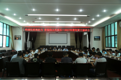 跨越发展敢担当，青春向上共成长—公司召开2017年青年骨干座谈会