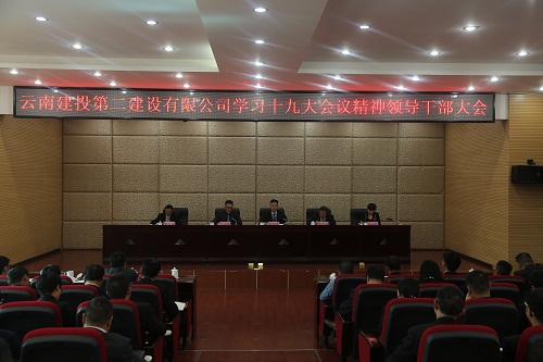 公司召开领导干部大会深入学习贯彻党的十九大精神