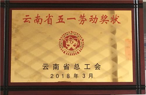 公司荣获“云南省五一劳动奖状”